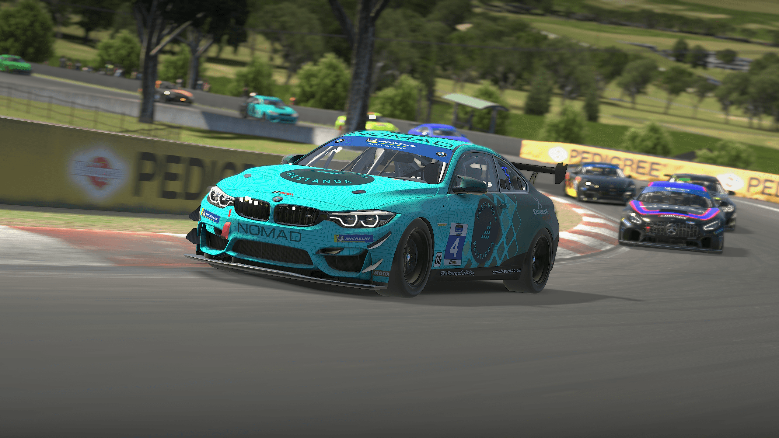 Mathias_BMW GT4_Bathurst.png